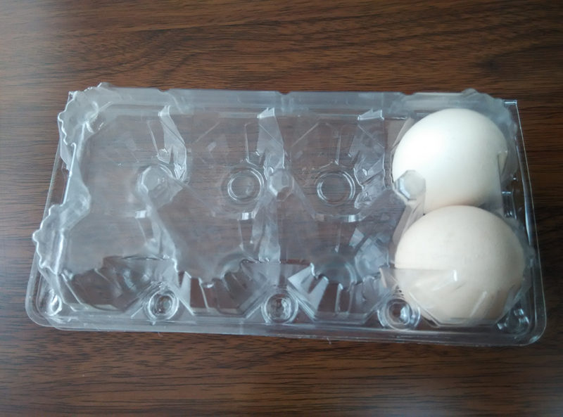 factory supply directly egg trays 6 holes 12 holes 15 holes PVC