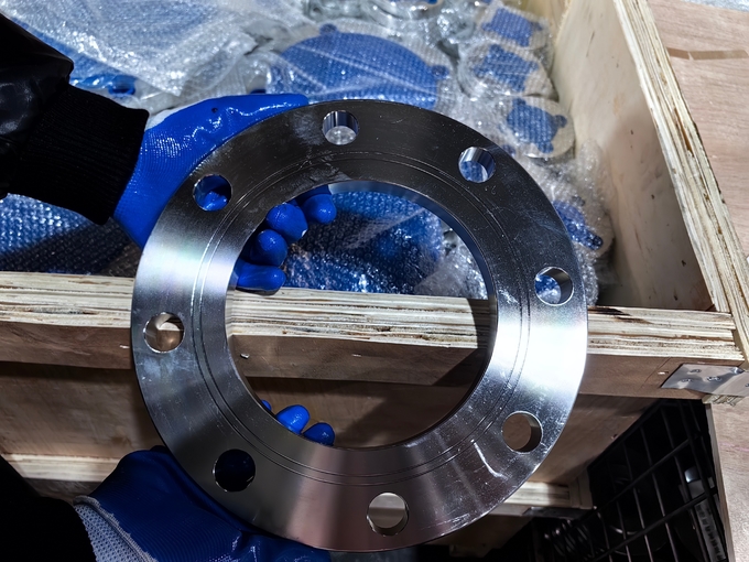 Class 300 Stainless Steel Flanges Welding Flange Ss304 Flat Plain