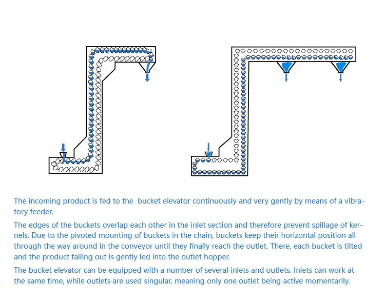 Food Sesame Melon Seeds Mixed Grain Z Type Bucket Elevator