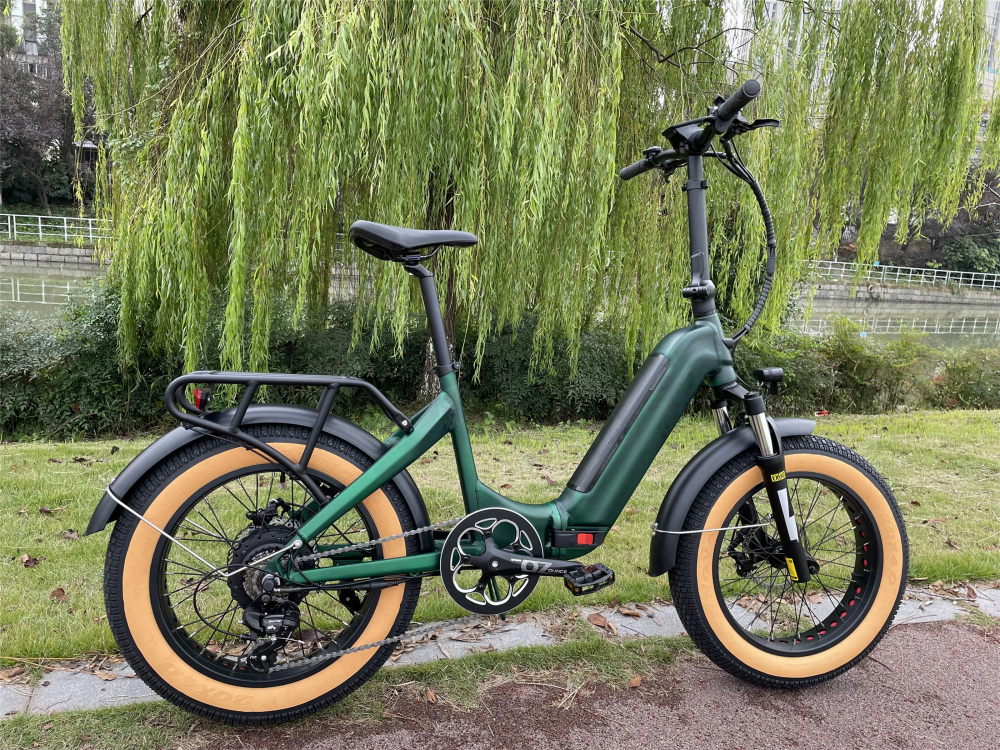 20 Inch Retro Folding Step Thru Electric Bike 48V 750W With LCD Display