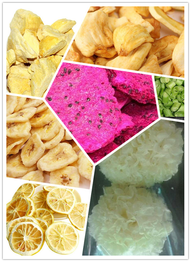 63kW Industrial Freeze Drying Equipment High Automation Level Easy Operation