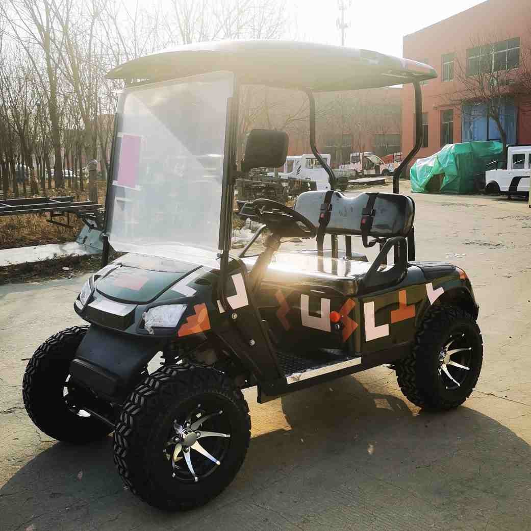 LED Steel Frame 25-40 Mph Electric Golf Cart with All Terrain Tires
