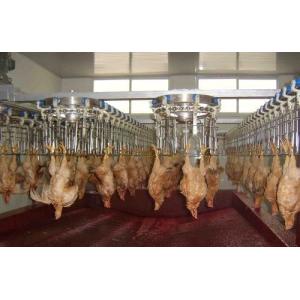  Customizable and Durable Poultry Processing Line with Stainless Steel 304 Manufactures