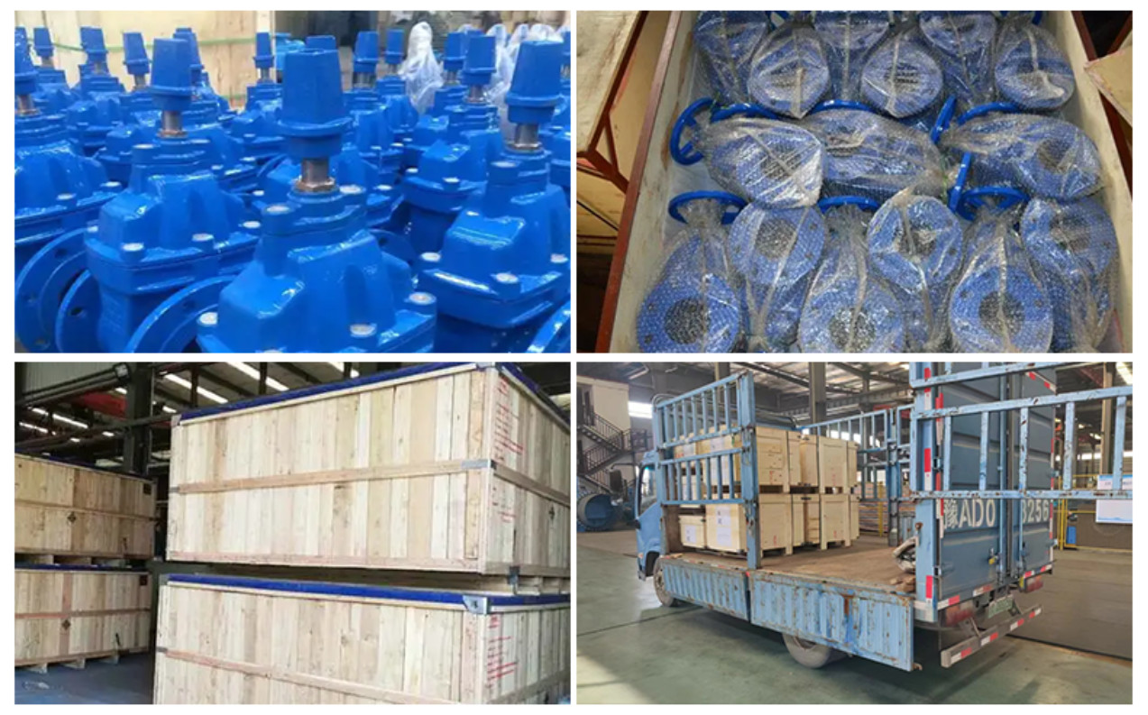 DIN F4 Elastomeric Seal Flange 4" Soft Seal Gate Valve For Industrial Drainage