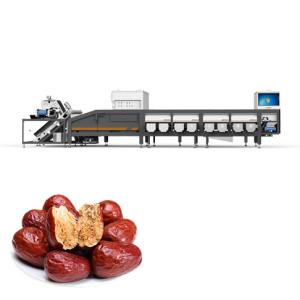 Efficient Machine Sorting Of Dates 6 Lanes Dates Sorting Machine