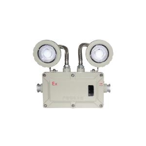 Explosion Proof Emergency Light with Color Temperature Options and Alarm 2*3w