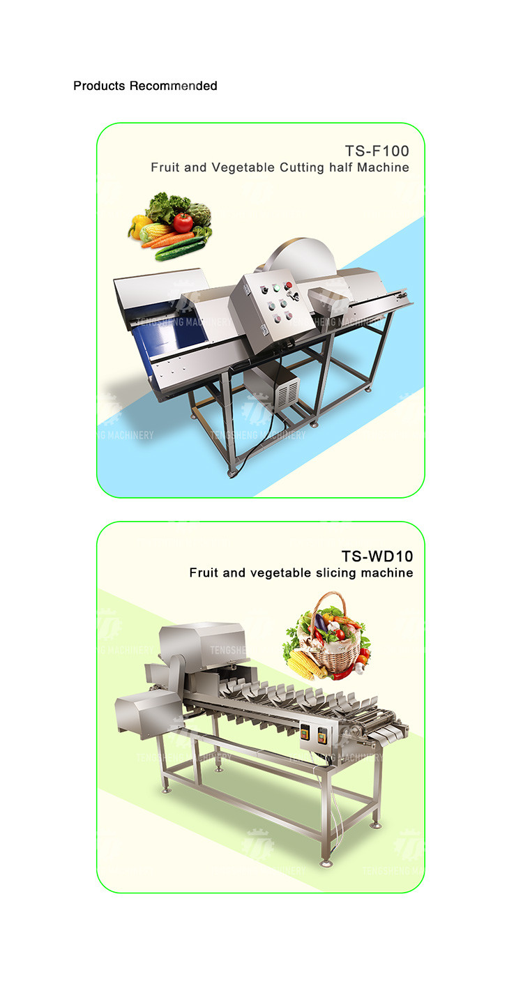 Industrial Automatic Eggplant Cabbage Fruit and Vegetable Splitting Machine