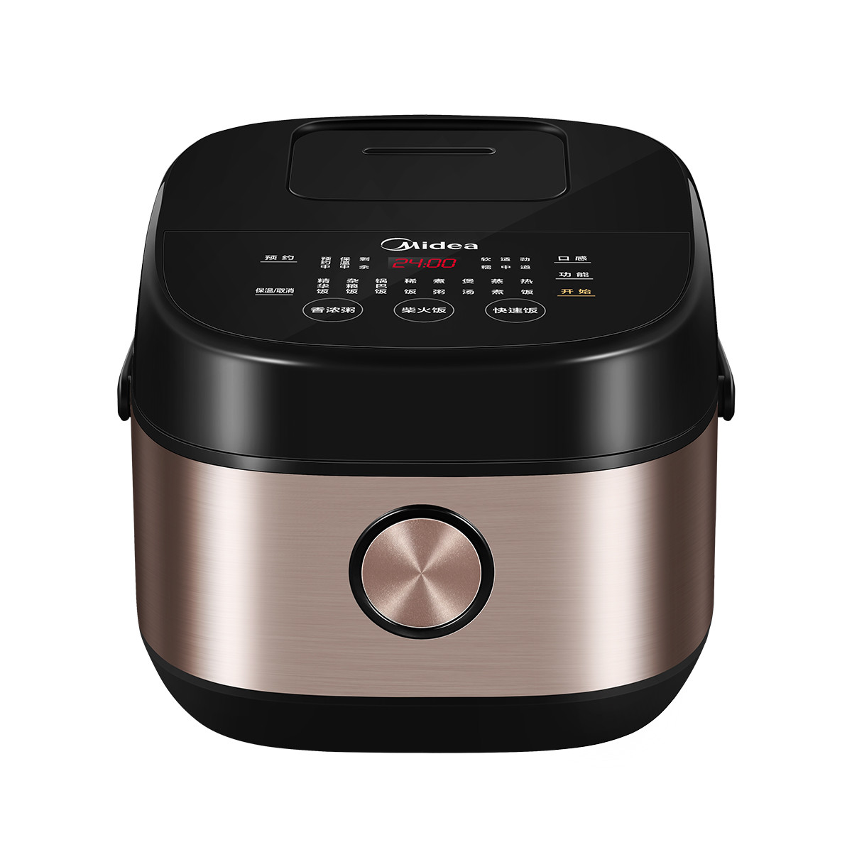 Household and similar electrical appliances