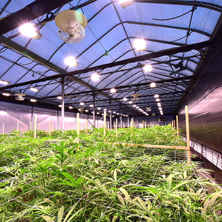 Herb Growing American 100% Dark Out Light Deprivation Green House Automated Blackout Greenhouse