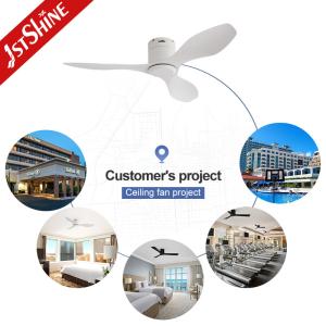 48" Flush Mount Ceiling Fan with Quiet DC Motor and 6 Speeds in Matte White