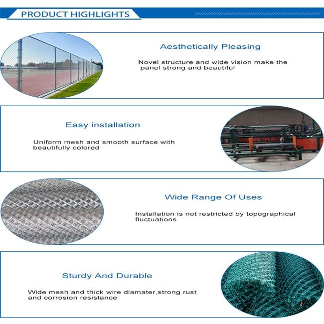 Corrosion Protection Green 40*40mm Hole Diamond Net Fencing