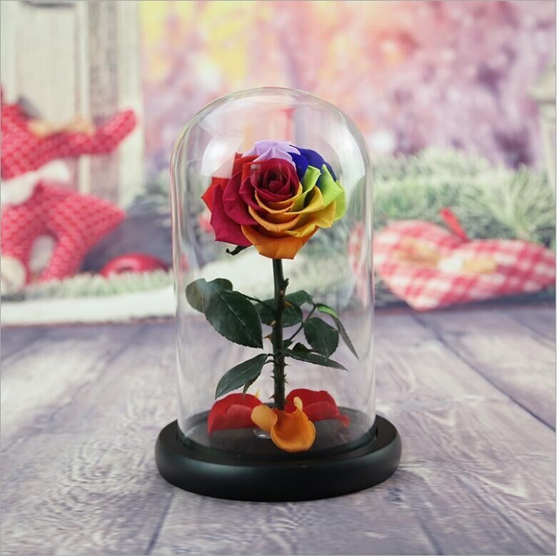 Preserved Fresh Flower Live Enchanted Rose in Glass Dome Cover with Gift Box Forever Real Rose Everlasting Flower