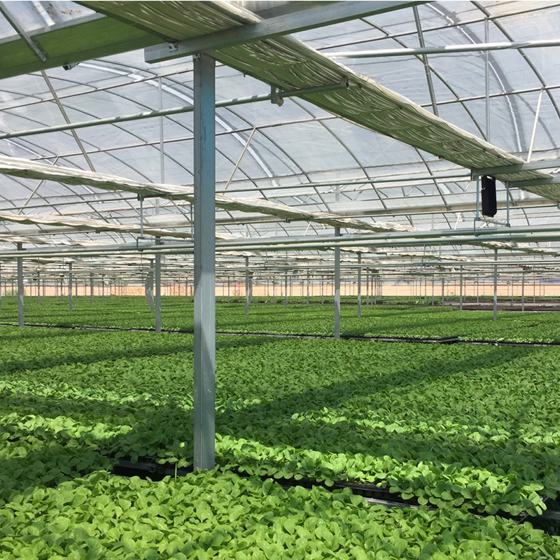 Double Layer Anti Insect Net for Agriculture Greenhouses Cover Plastic Film Effective