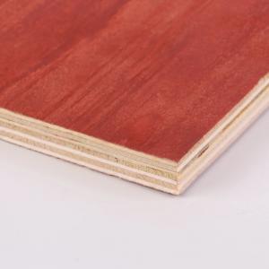 China Commercial 18mm Structural Plywood Sheets Eucalyptus Pine Plywood Sheets on sale