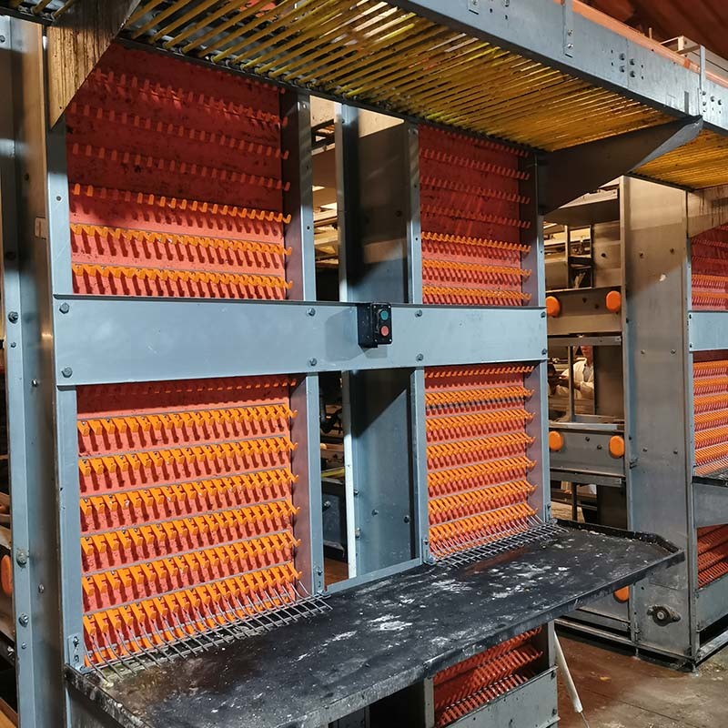 Modern Designed Egg Chicken Layer Cage Raising Equipment