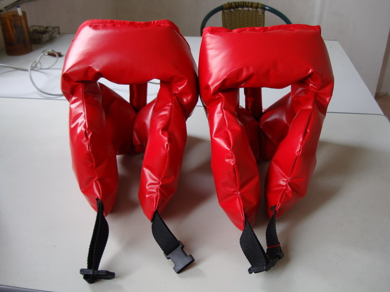 sumo wresting