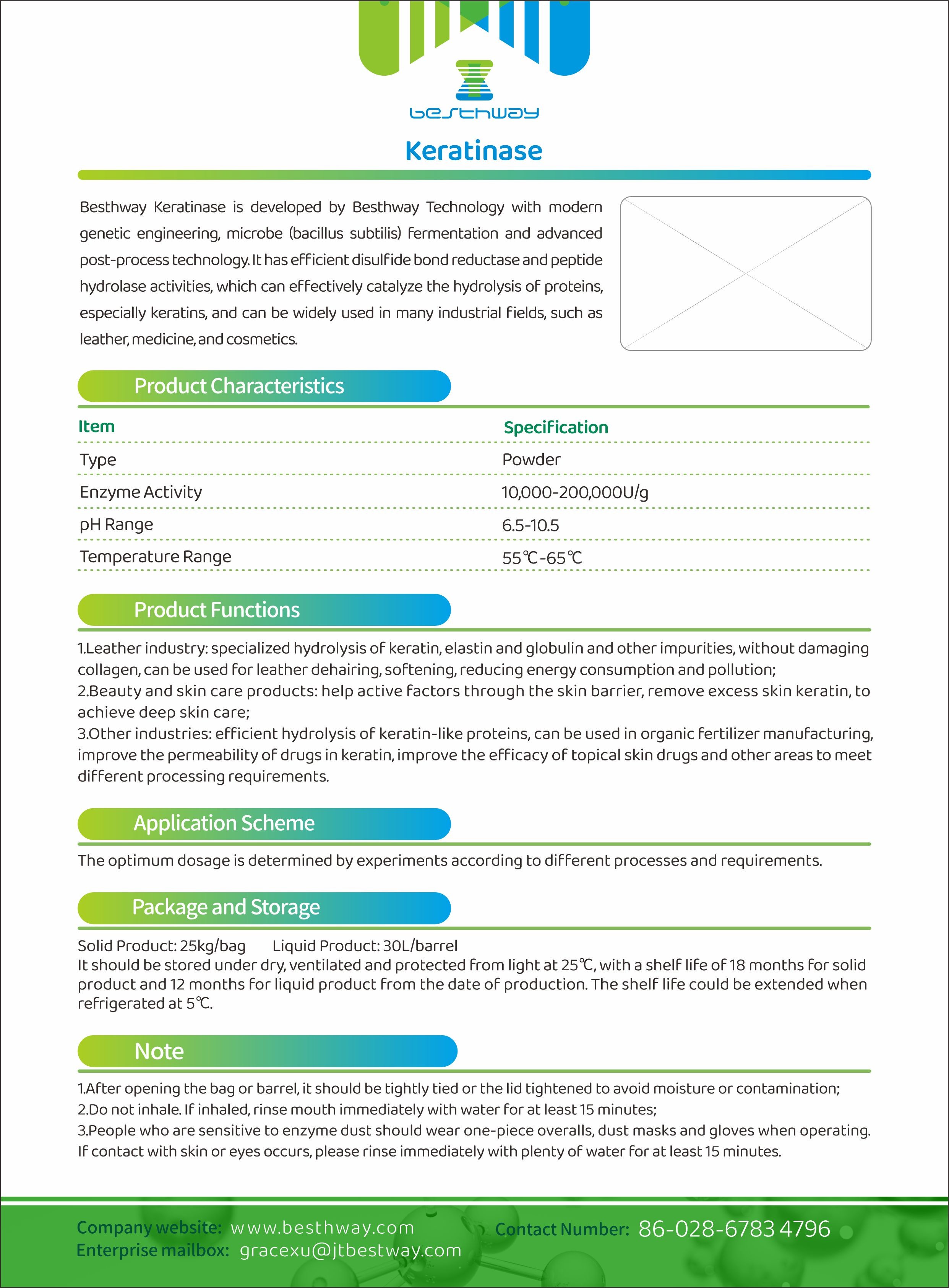 Keratinase, Leather Industry, Feather Powder Hydrolase