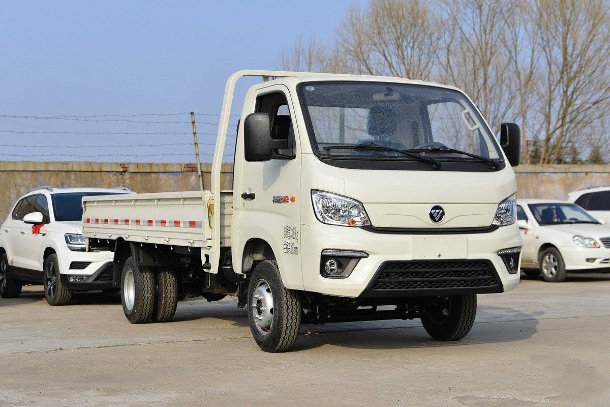 Foton 2.0L Gasoline Engine 144 Horsepower Large Cargo Platform Reversing Video Cargo Truck Van Truck EU Standard 2 to 6