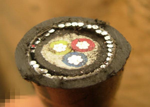 LV XLPE/PVC Insulated Steel Wire or Steel tape Armored Power Cable 3x10mm2