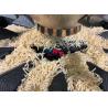 Buy cheap Grated Cheese Shredded Cheese Packaging Machine 2000 Gram from wholesalers