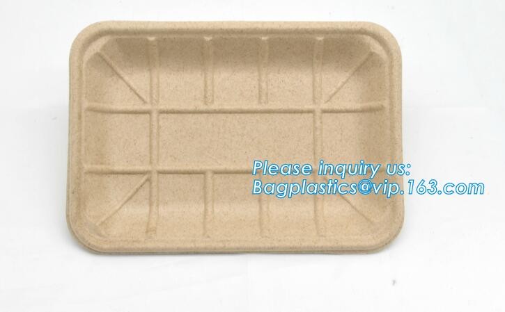 Meal Prep Containers Free Sample Bento Lunch Box Biodegradable Food Container Plastic Wheat Straw Lunch Box bagplastics
