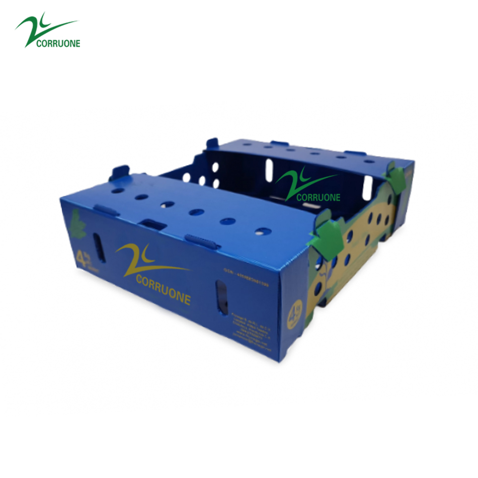 Embossing PP Vegetable Corrugated Boxes Rice Meat Corflute Box