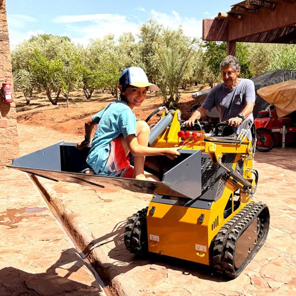 Cheap Crawler Skid Steer Loaders Mini Small Skid Steer Track Loader With