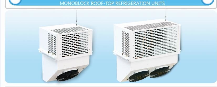 Cold Storage Air Cooled Monoblock Refrigeration Units 1HP OLTM100T hermetic condensing unit