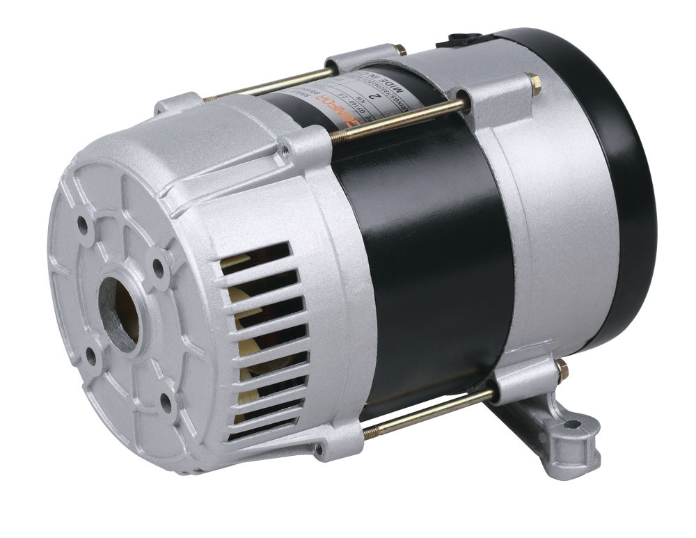 1KW Direct Connection High Output Alternator AC Power