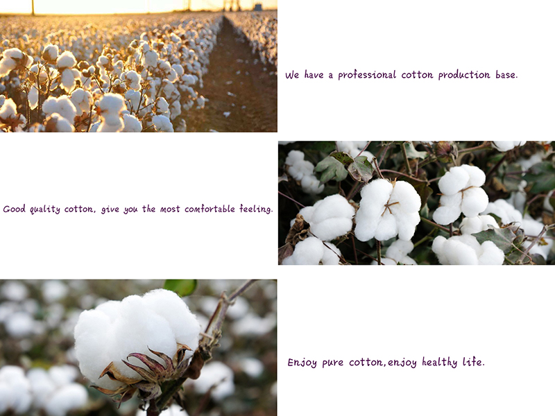 100% Absorbent Medical Cotton Balls Biodegradable Safety white Color