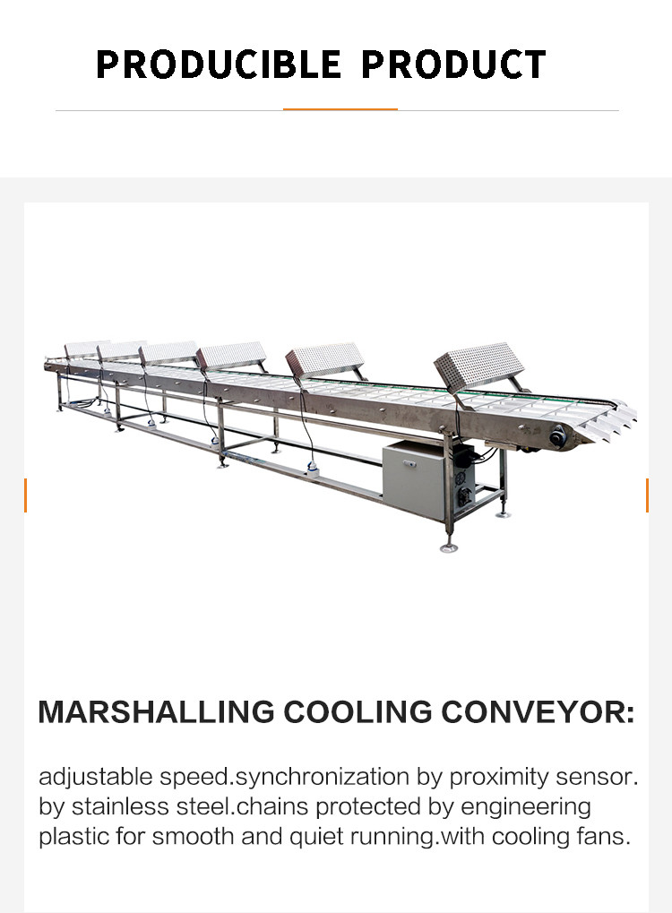 Commercial Baking Electric Marshalling Cooling Conveyor Field Installation