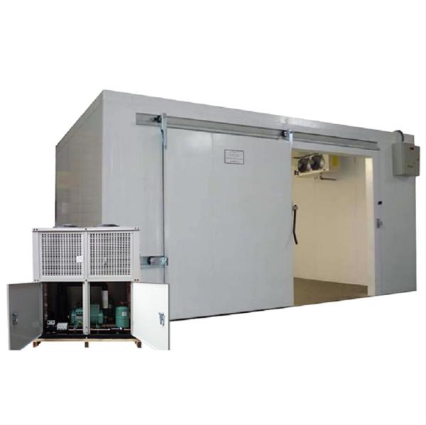 Swing / Sliding Door Freezer Cold Room Galvanized Color Steel Plate / Stainless