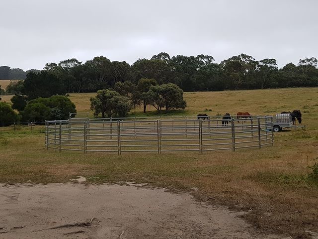 25pcs Bundle Heavy Duty Portable Cattle Panels For Sale & Gate