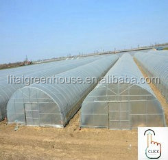 PE Double Film Tunnel Inflatable Greenhouse for All-Weather Protection