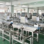 Conveyor Checkweigher Scale Supplier Check Weigher Machine Price Digital Weight