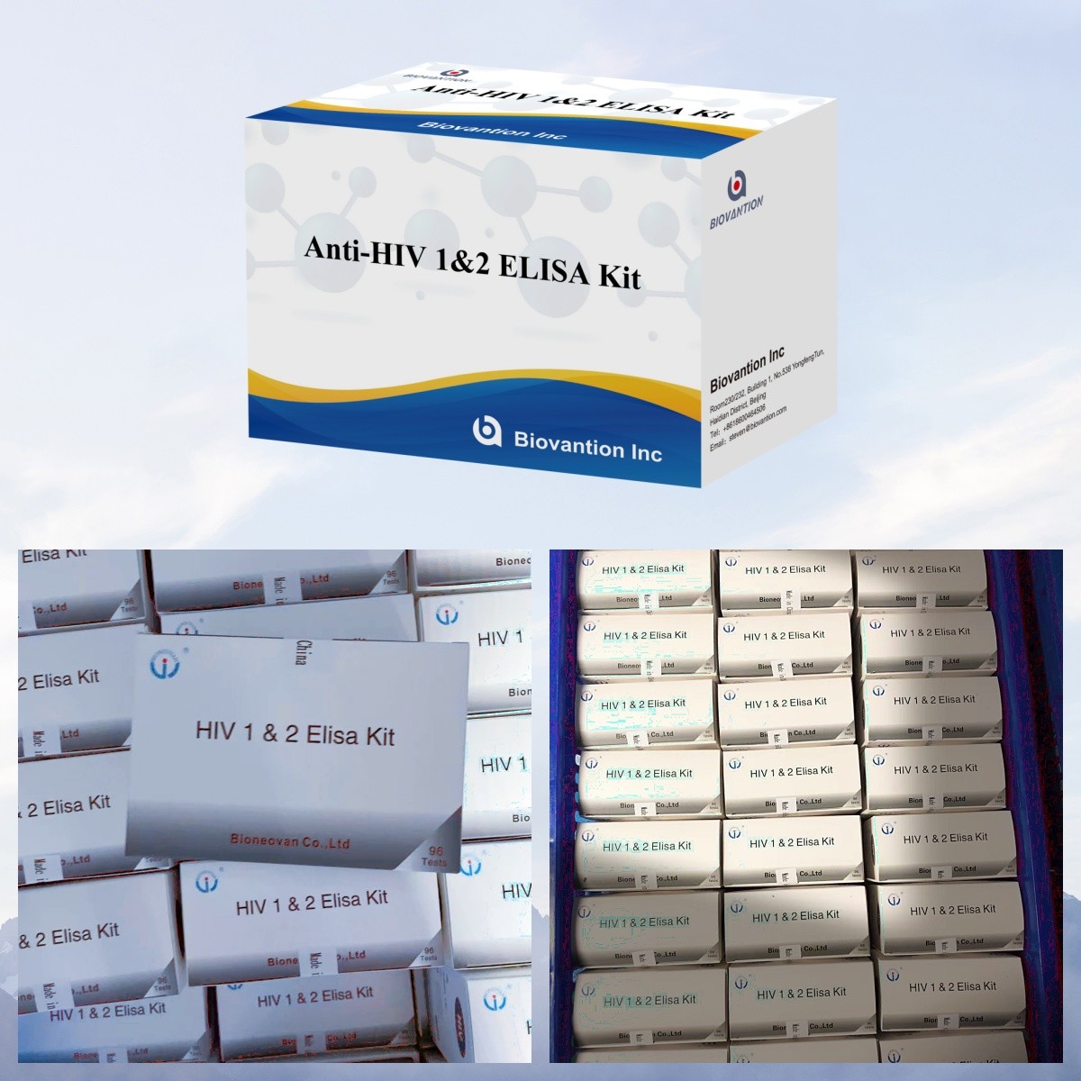 Biovantion Anti-HIV ELISA Test Kit 18 Months Shelf Life for HIV-1 and HIV-2 Testing
