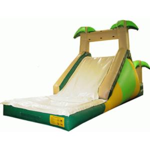  Inflatble Slide / inflatable pool slide / inflatable palm slide Manufactures