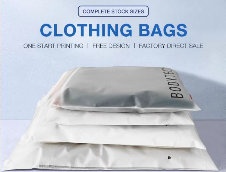 Custom Low MOQ Plastic Zipper Bag Shrink Bag for Clothing Zipper Frosted