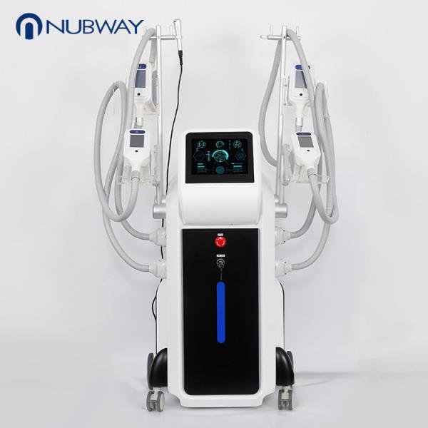 New product 4 cryo handles fat freezing slimming equipment weight loss