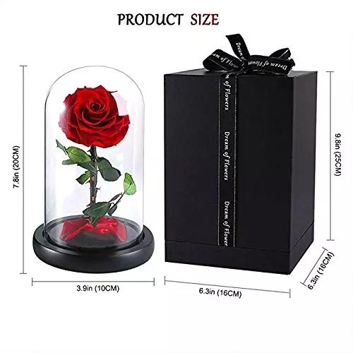 Forever Real Rose Everlasting Flower Preserved Fresh Flower Live Enchanted Rose in Glass Dome Cover with Gift Box rose
