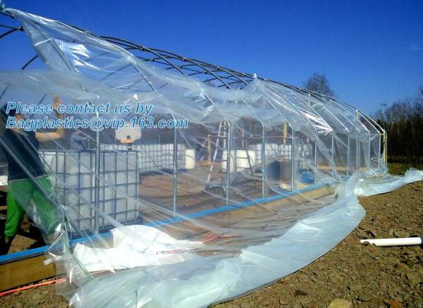 Agricultural PE Film, Agriculture Polyethylene, Film, mulch films, horticultural