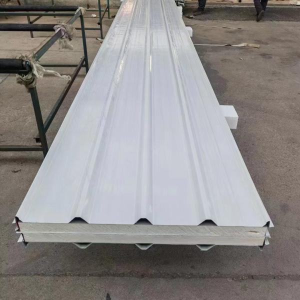 Modern Design Cold Room Insulation Panels Fireproof PU Steel Sandwich Panel for