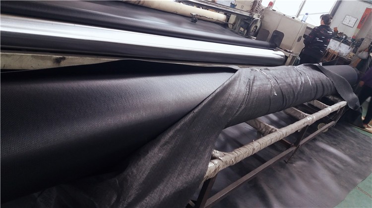 Anti-Corrosion Impermeable Geomembrane for Landfill Design Style in Mexico 1mm Thickness