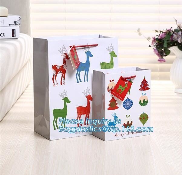Luxury Paper Gift Carrier Shopping Bag Party Bag with Handles,printed paper carrier bag for apparel shopping bag, bageas