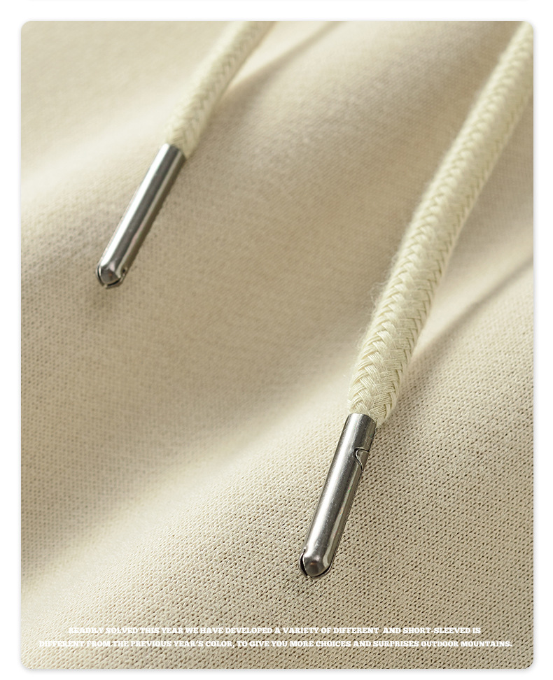Heavy Embroidered Hooded Sweatshirt Crop 350gsm Heavyweight Cotton French Terry Thick Fleece Hoodie Men