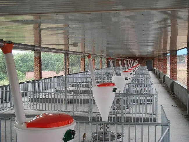 Husbandry Livestock Feeding Equipment Plastic Piglet Feed Trough 80L 100L