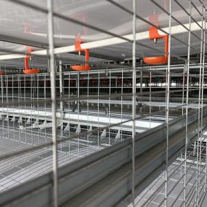 25mm Pipe Chicken Nipple Drinker System 5 Drinker /M For Layer Farm