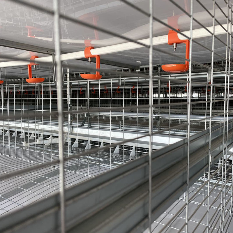 ISO Chicken Farm Equipment Hens 3 4 Tiers Layer Cage Poultry Equipment