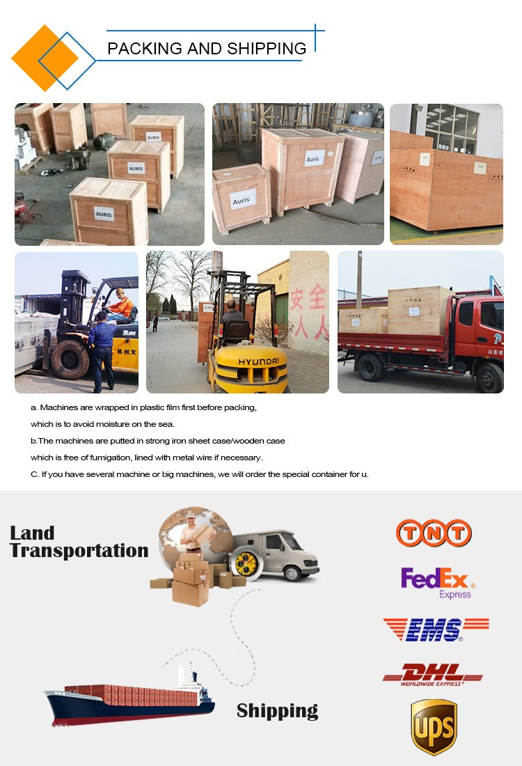 500kg/H Burger Patty Machine Shawarma Chicken Beef Pie Processing Machine