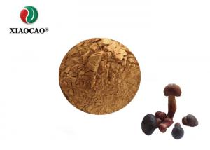  Blends Organic Bolete Powder / Medicinal Mushroom Extract Powder Manufactures